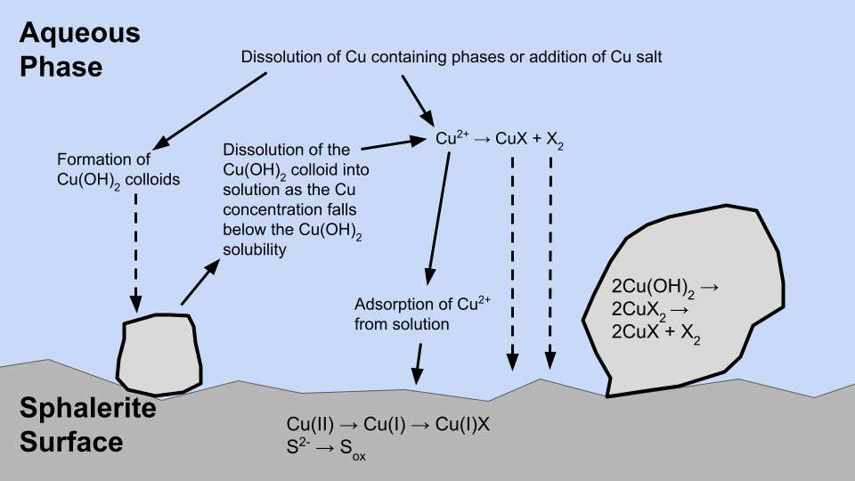 Processes involving Cu ions that simultaneously occur in bulk solution Processes involving Cu ions that simultaneously occur in bulk solution