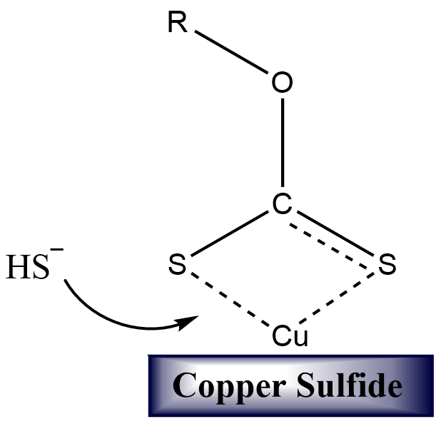 Schematic showing the competition of HS ions with a xanthate molecule Schematic showing the competition of HS ions with a xanthate molecule