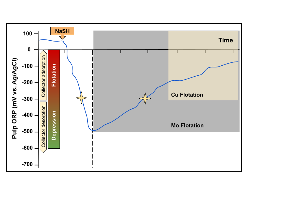 Schematic showing pulp ORP vs. time for a Cu-Mo separation test Schematic showing pulp ORP vs. time for a Cu-Mo separation test
