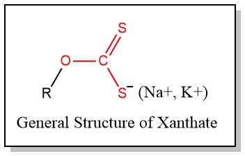 general structure of Xanthate general structure of Xanthate