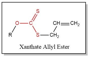 Xanthate allyl ester Xanthate allyl ester