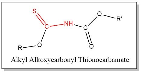 Alkyl Alkoxycarbonyl Thionocarbamates Alkyl Alkoxycarbonyl Thionocarbamates
