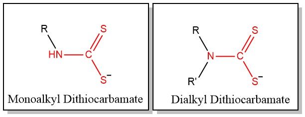 Dithiocarbamates Dithiocarbamates