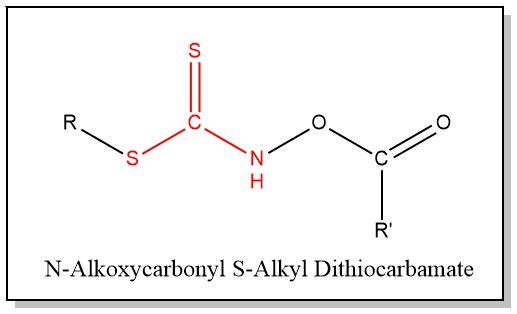 N-Alkoxycarbonyl S-Alkyl Dithiocarbamate N-Alkoxycarbonyl S-Alkyl Dithiocarbamate