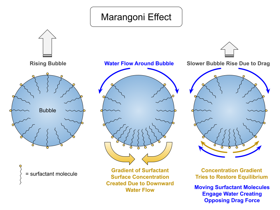 Marangoni effect Marangoni effect