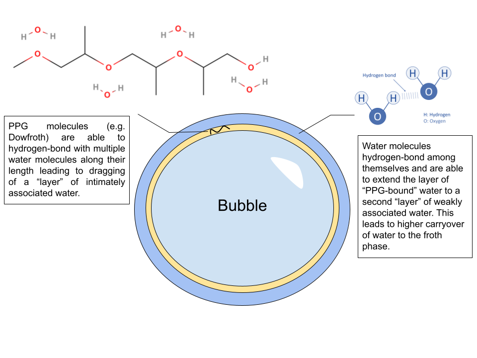 Schematic showing the effect of polyglycol hydrogen-bonding with water Schematic showing the effect of polyglycol hydrogen-bonding with water