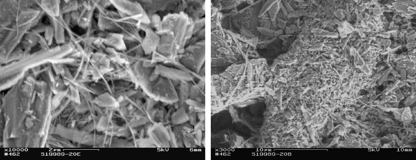 SEM loose grain SEM loose grain