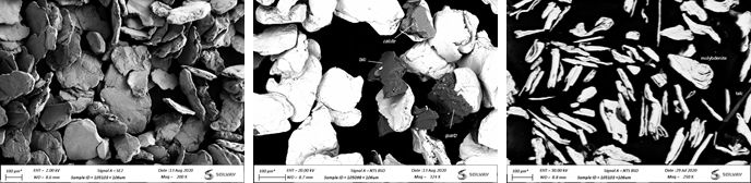 SEM microscopy 03 SEM microscopy 03