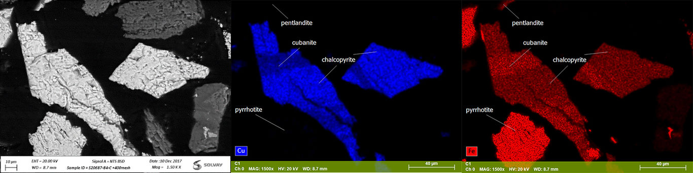 Microscopy 07 Microscopy 07