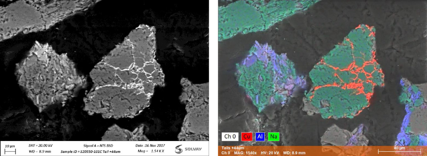 Microscopy 10 Microscopy 10