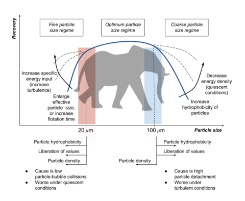 typical particle recovery vs. particle size curve typical particle recovery vs. particle size curve